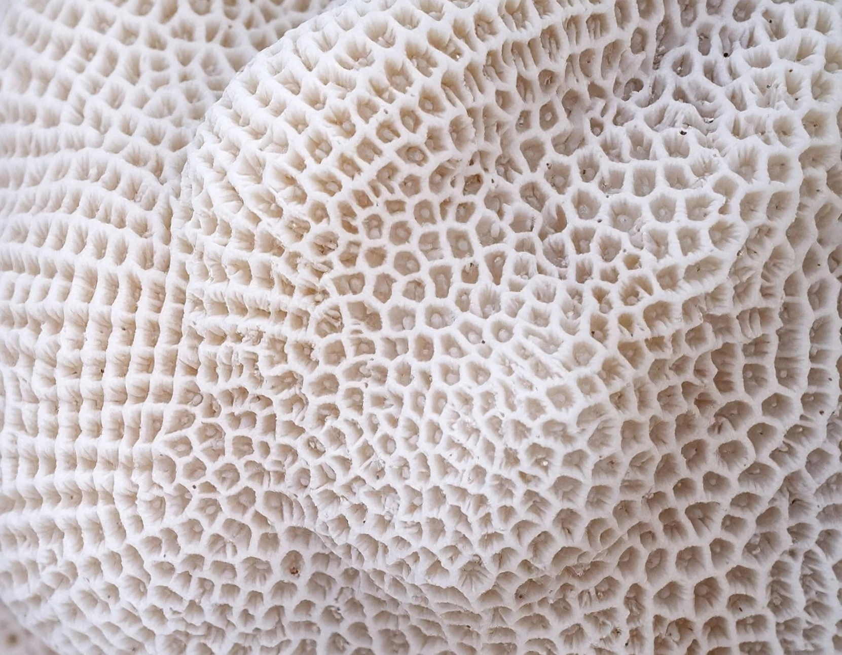 State of Disrepair: Technological Ambition, Global Fragmentation, and the End of the Postwar Order