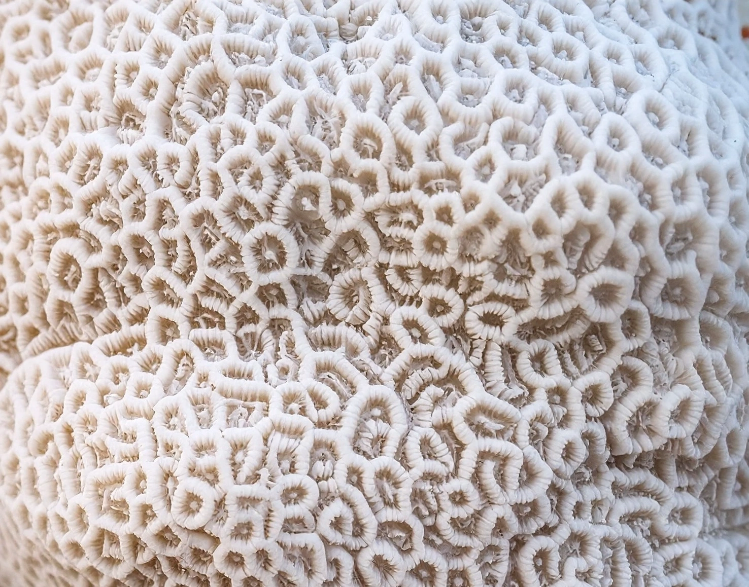 The Future Is More Than What Happens Next: Strategic Communications and the Twenty-First Century