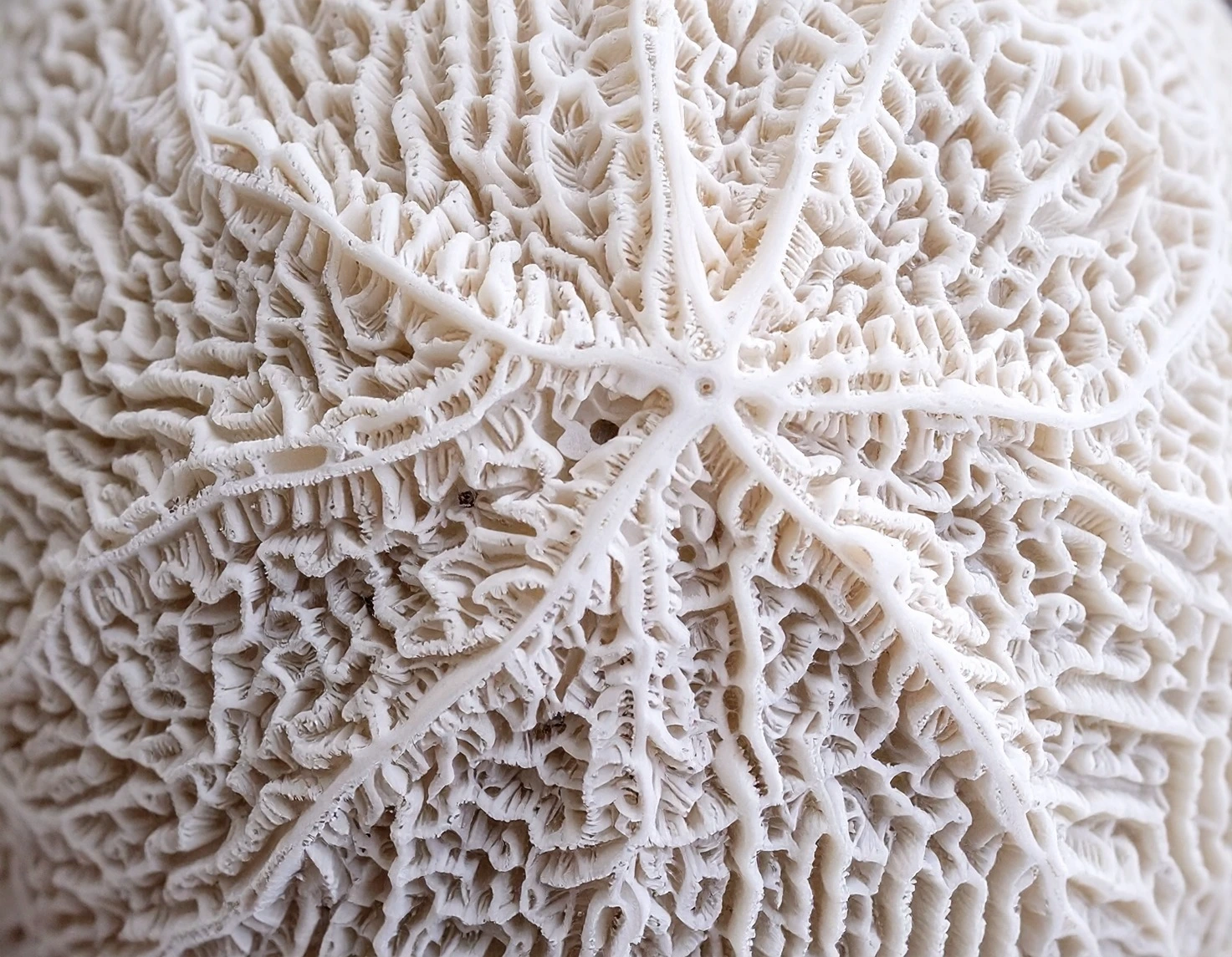 Change through Resonance in Classical Ballet